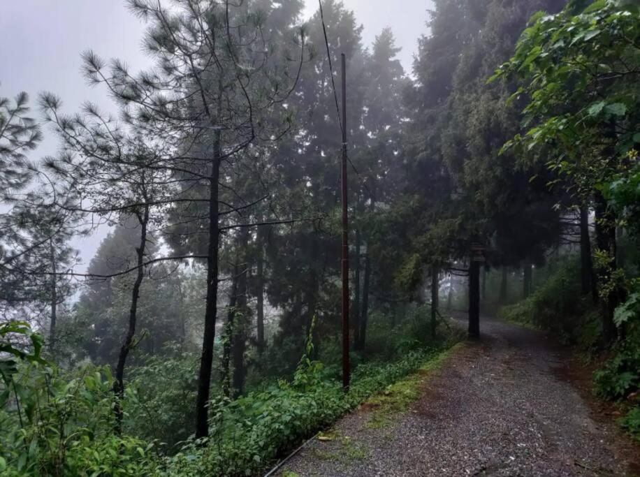 The Hill Story, Entire Chalet, Offbeat,Cozy Mussoorie Exterior foto
