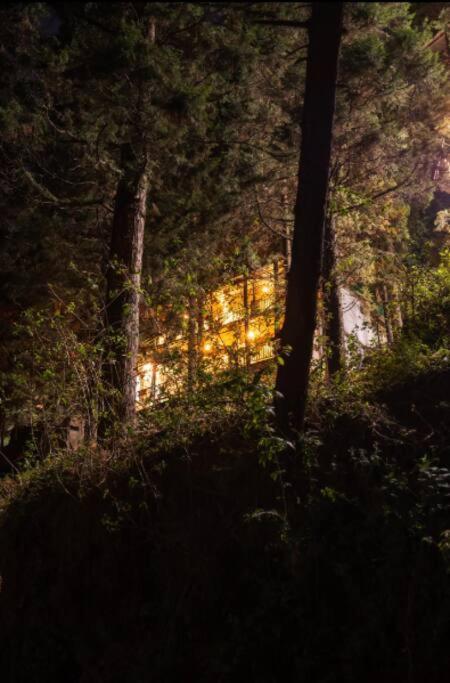 The Hill Story, Entire Chalet, Offbeat,Cozy Mussoorie Exterior foto